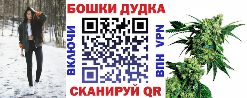 Купить закладки  Новоаннинский  Конопля план 